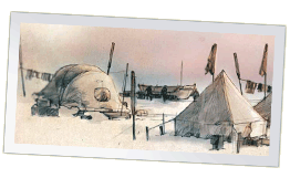 Scouts